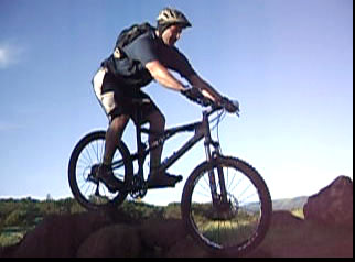 Holly Cow, what a dawg mauler